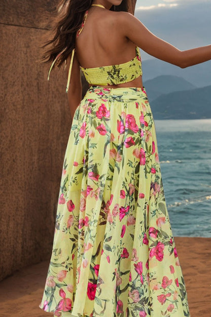 MeiMei Backless Printed Plunge Sleeveless Dress